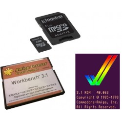 SD 16GB - Workbench 3.1 - Kickstart 3.1 kit